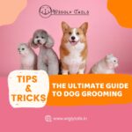 the-ultimate-guide-to-dog-grooming-image