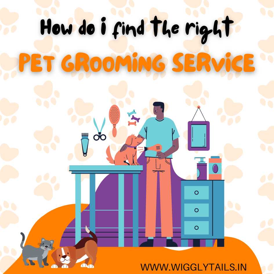 How do I find the right Pet Grooming Service