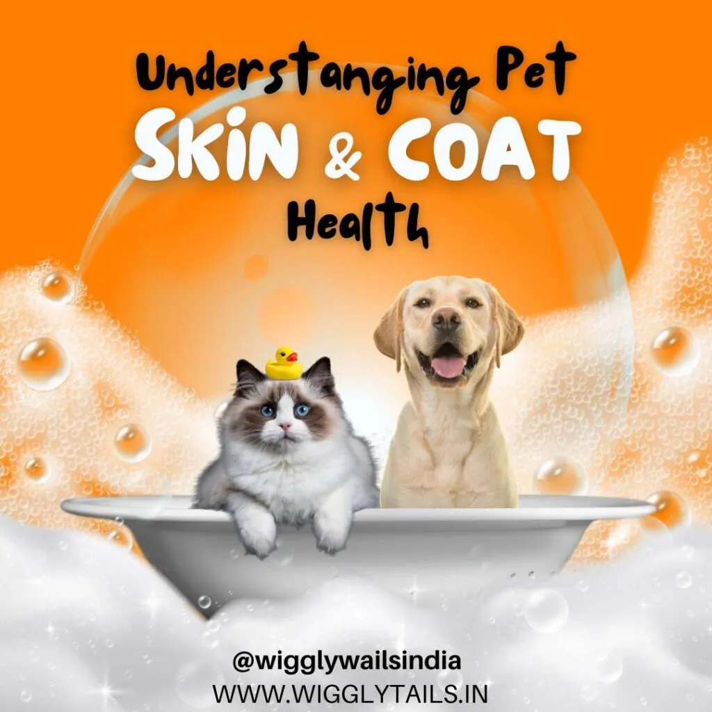 Understanding Pet Skin and Coat Health