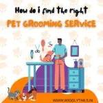 how-do-i-find-the-right-pet-grooming-service
