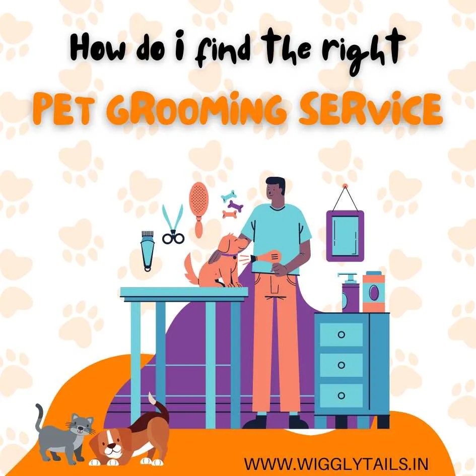 How do I find the right Pet Grooming Service